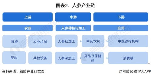 2024年中國人參行業(yè)全景圖譜 市場現(xiàn)狀、競爭格局與AI賦能的開發(fā)趨勢(shì)